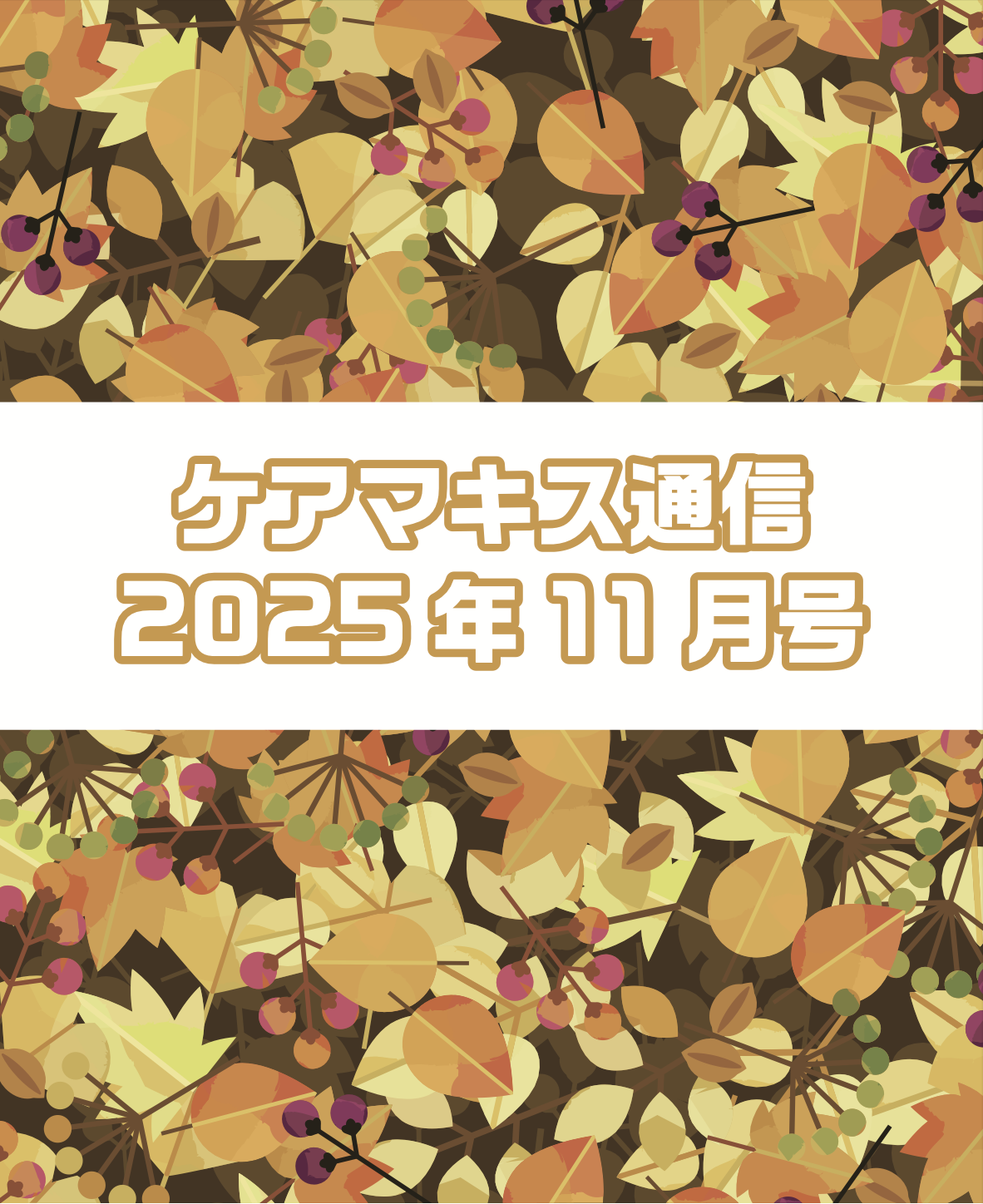 ケアマキス通信2025年11月号